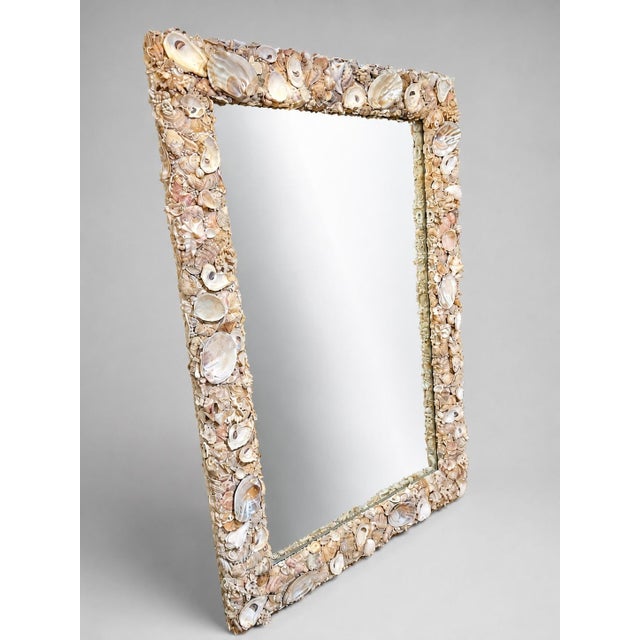 Monumental coastal grotto mirror with an exuberantly encrusted shellwork frame composed of natural oyster shells, scallop...