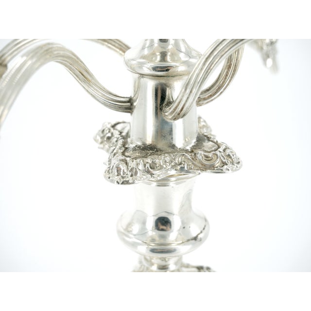Large 19th Century English Sheffield Silver-Plated Five-Light Convertible Candel For Sale - Image 11 of 13