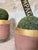 Foundry Planters Crucibles, Set of 3 For Sale - Image 13 of 18
