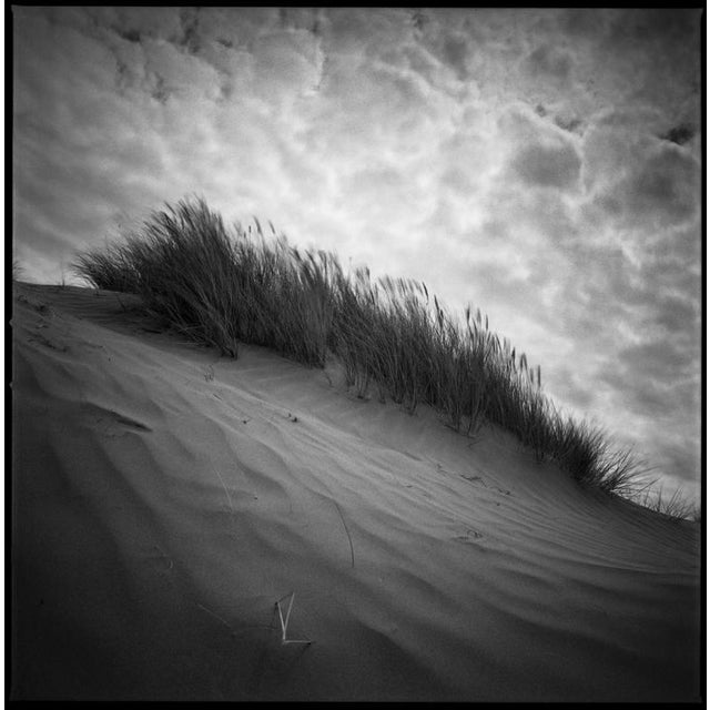 Paul Cooklin, Sand Dune I, Photograph For Sale