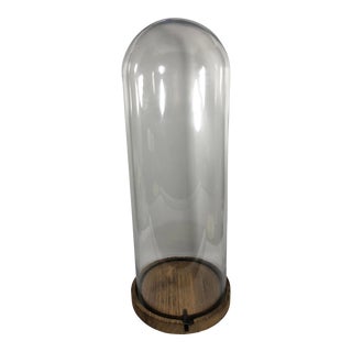 1980s Tall Glass Display Dome With Wooden Base For Sale
