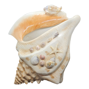 Vintage Fitz and Floyd Seaboard Seashell Vase Nautical Vase Ocean Sea Coastal 8.5”
