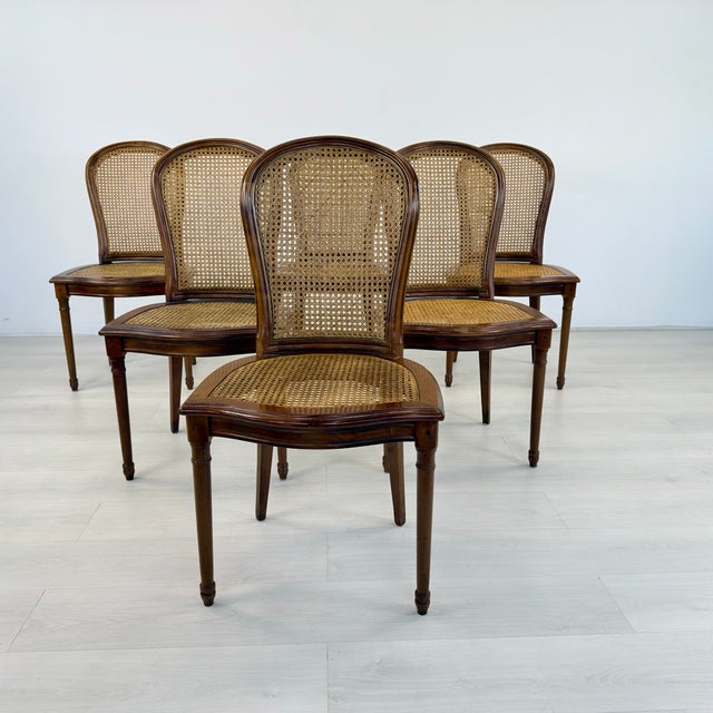 Louis XVI Style Dining Chairs - Set of 6 For Sale - Image 4 of 9