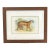 Natural History Chromolithograph of a Tiger For Sale