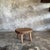 Small Wabi-Sabi Oval Teak Occasional Stool For Sale - Image 6 of 18
