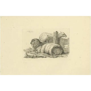 Oberman, Three Sheep Resting, 1810, Etching on Paper For Sale