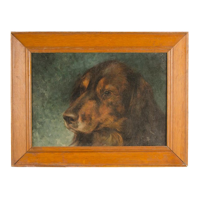 A Portrait of a Dog, Likely European, 20th C. For Sale