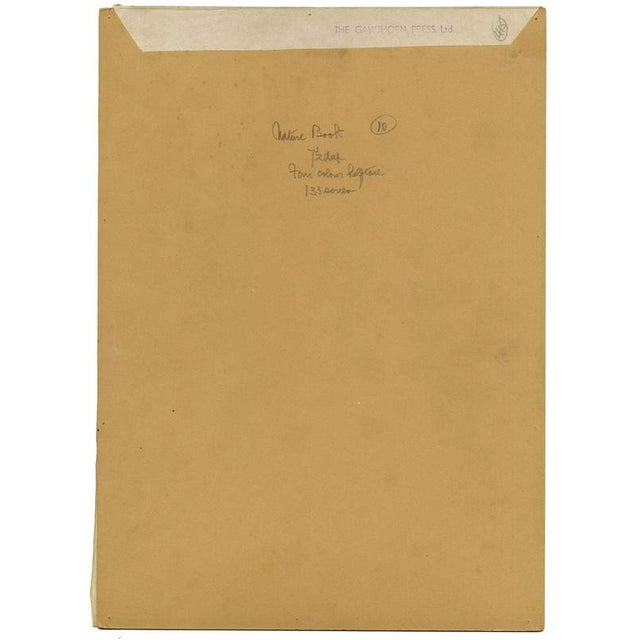 William Neave Parker, Bird Courtship Illustration, 1950s, Gouache Drawing For Sale - Image 7 of 9
