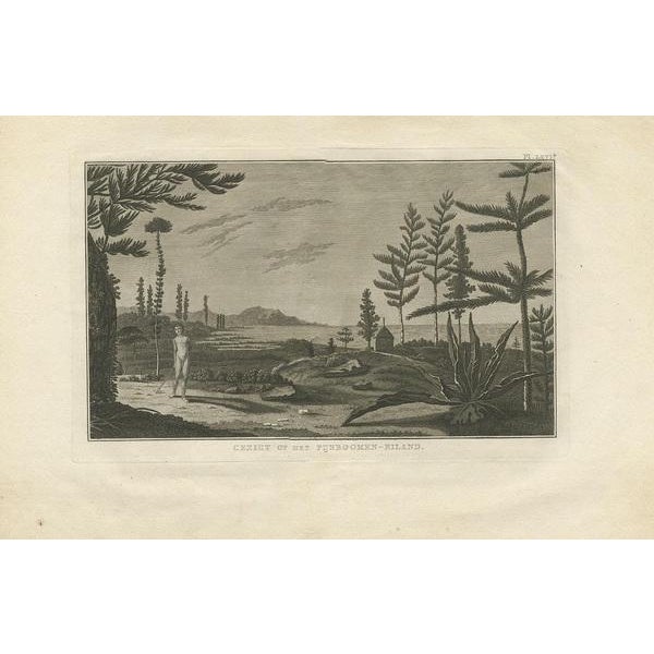 Antique print titled 'Faced on Pine Tree Island'. This print depicts a view of Pine Tree Island. Originates from 'Travels...