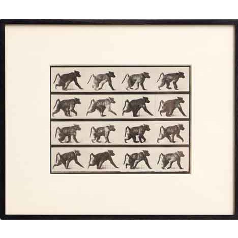 After Eadweard Muybridge, Child with Watering Can from Electa Editrice Portfolio, 1980, Black & White Photogravure For Sale