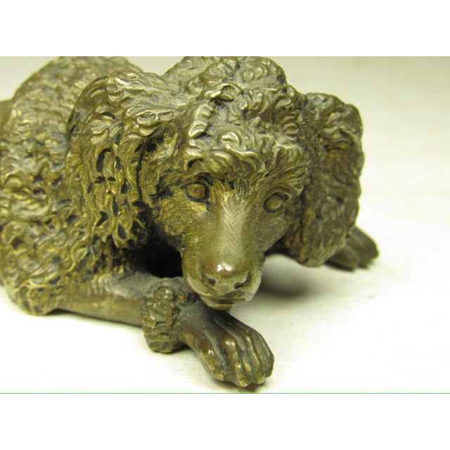 1900 - 1909 Antique Bronze Poodle Figurine For Sale - Image 5 of 11