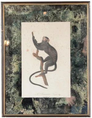 18th-C. Colored Monkey Print by Jean Baptiste
