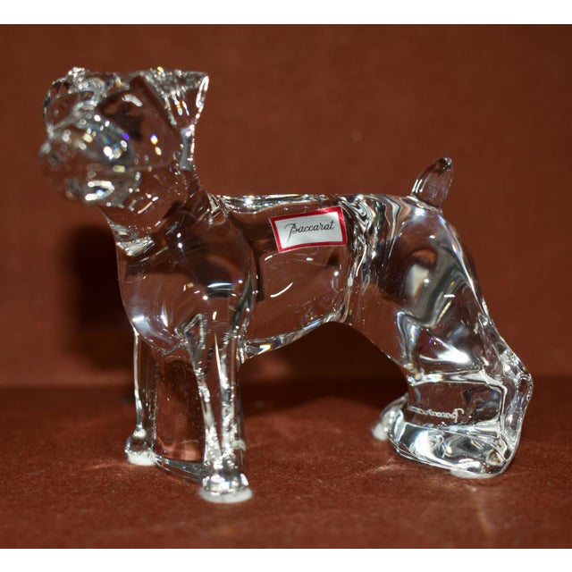 Vintage Baccarat Dog Crystal Figurine Paperweight For Sale - Image 9 of 12