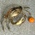 Late 20th Century Vintage Coastal Monumental Polished Brass Crab For Sale - Image 5 of 6