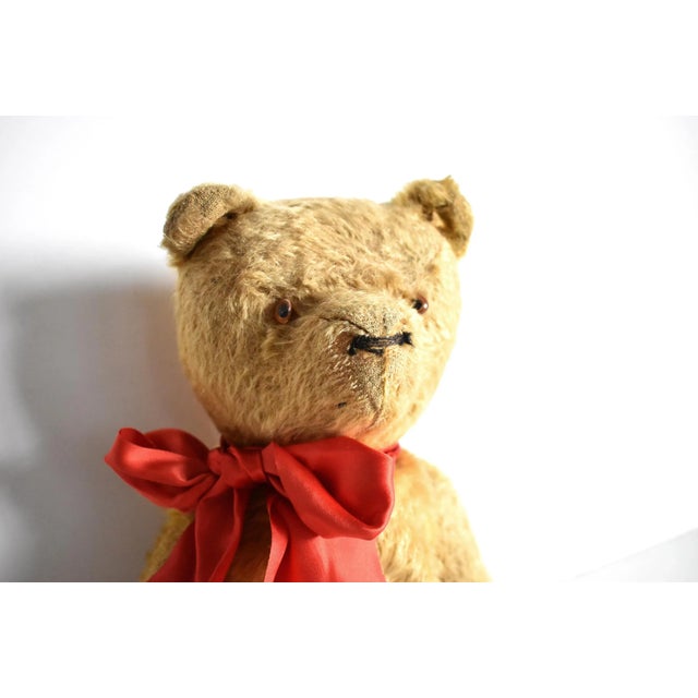 Early 20th Century Antique Mohair Jointed Teddy Bear For Sale - Image 5 of 11