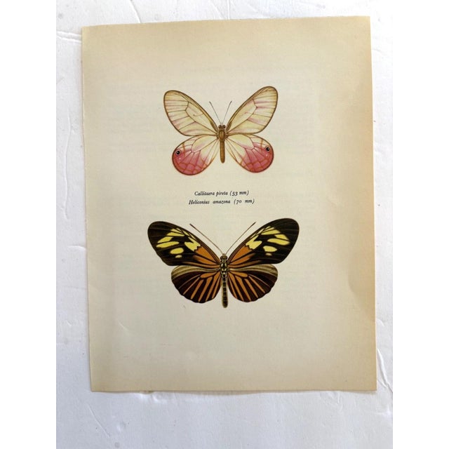 Up for sale is this gorgeous lithograph by F. Prochazka, published in Great Britain in 1965. It is in excellent, gently-...