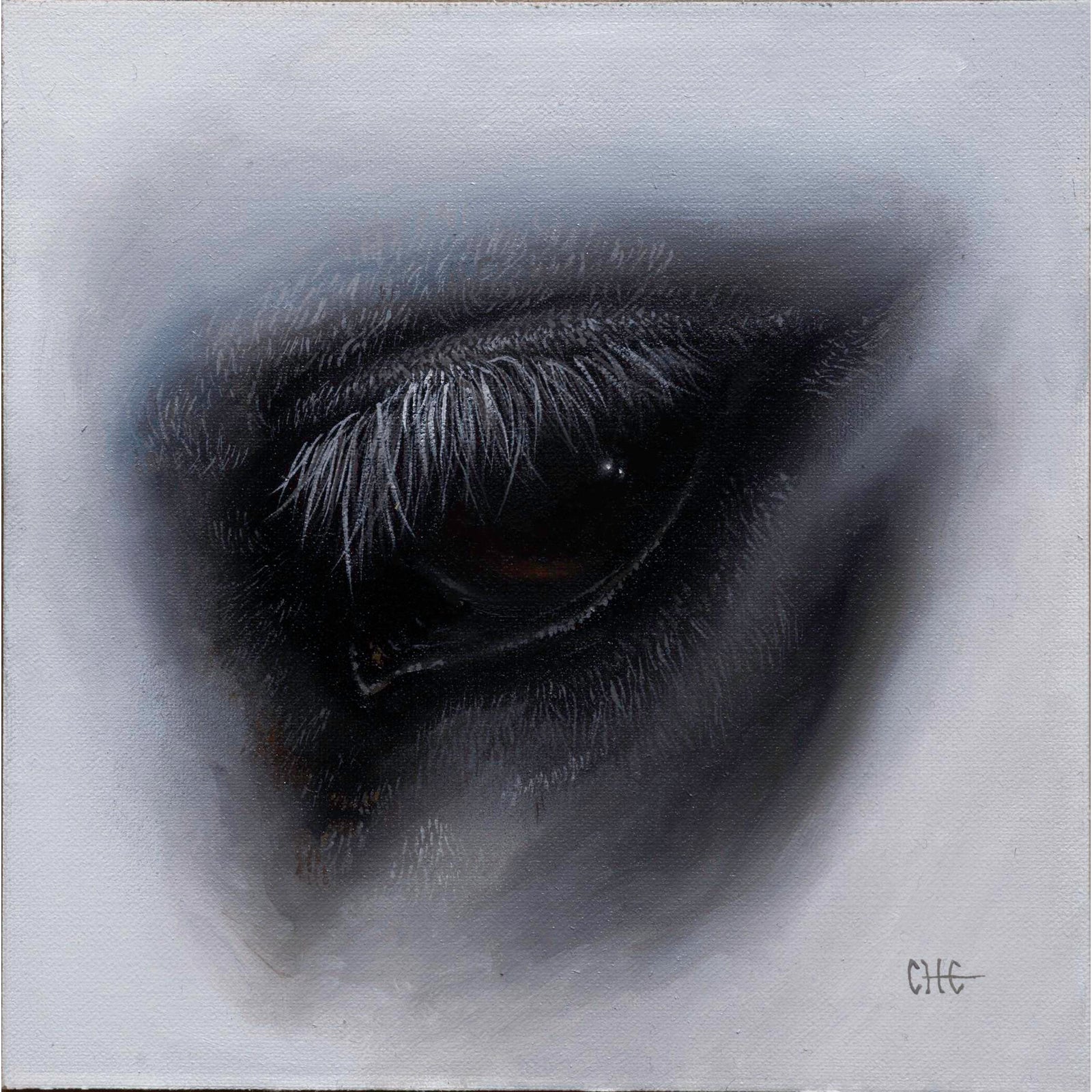 Denial by Che Leviathan | Oil on Artefex ACM panel Close-up of an eye ...