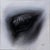 Denial by Che Leviathan | Oil on Artefex ACM panel Close-up of an eye with detailed eyelashes. For Sale