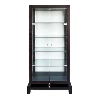 Roche Bobois China Display Cabinet Encased in Glass With Interior Lighting For Sale