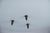 Metal Mid-Century Modern Brass and Sculptural White Glass Pendant Lamp, Italy, 1960s For Sale - Image 7 of 12