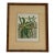 Antique Botanical Print Tropical Ferns by James Britten 1880 in Burlwood Frame For Sale