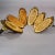 Vintage Set of Six Chamois Trophies on Wooden Plaques, Germany Ca. 1950s For Sale - Image 6 of 7