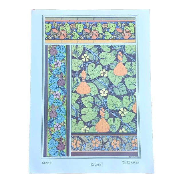 Botanic Illustration Art Deco Art Nouveau Gourd Vine Plant For Sale