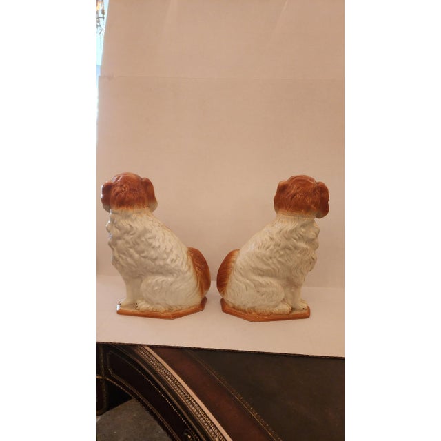 Early 20th Century Pair of Ceramic Staffordshire Spaniel Dogs For Sale In Dallas - Image 6 of 10