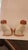 Early 20th Century Pair of Ceramic Staffordshire Spaniel Dogs For Sale In Dallas - Image 6 of 10