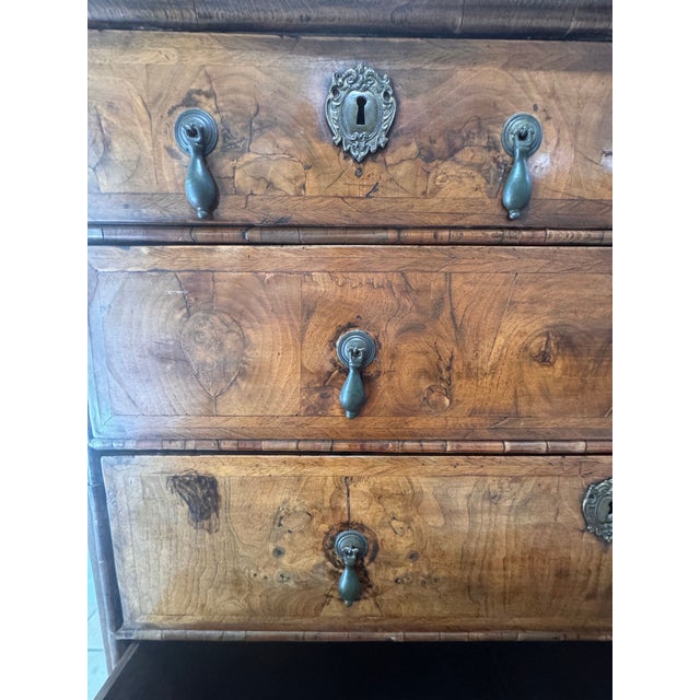 Antique William and Mary Burl Walnut Chest on Stand With Original Bronze Hardware and Cannonball Feet, Late 17th Century For Sale - Image 15 of 15