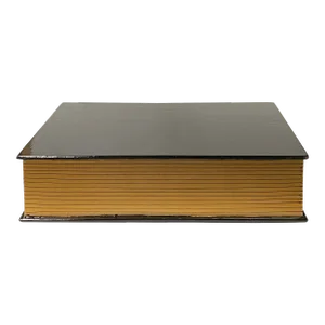 Black Lacquer Golden Side Book Shape Storage Box Accent