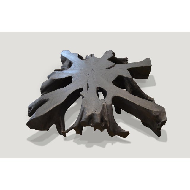 Andrianna Shamaris Teak Wood Root Wall Hanging or Coffee Table For Sale - Image 4 of 5
