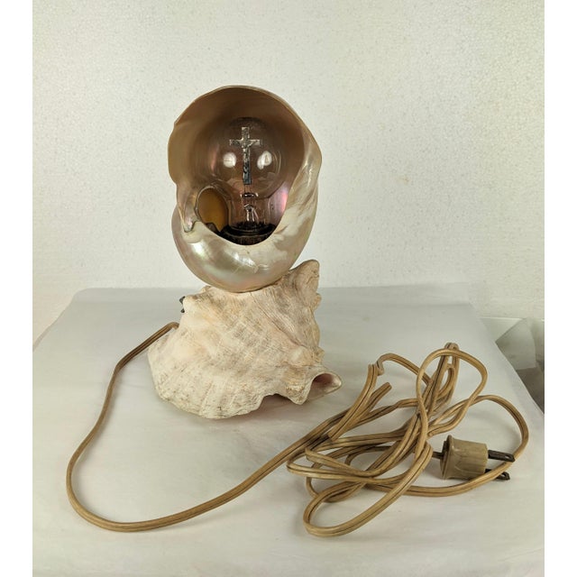 Deco Nautilus and Conch Shell Lamp For Sale - Image 10 of 11
