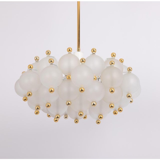 Large Frosted Glass and Brass Chandelier from Kinkeldey, Germany, 1970s For Sale - Image 3 of 18