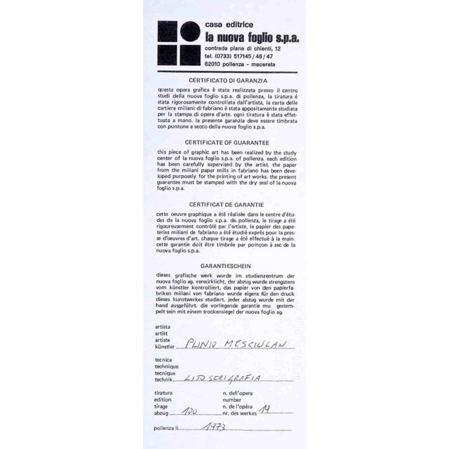 Plinio Mesciulam, Abstract Composition, Original Lithograph, 1973 For Sale - Image 4 of 4