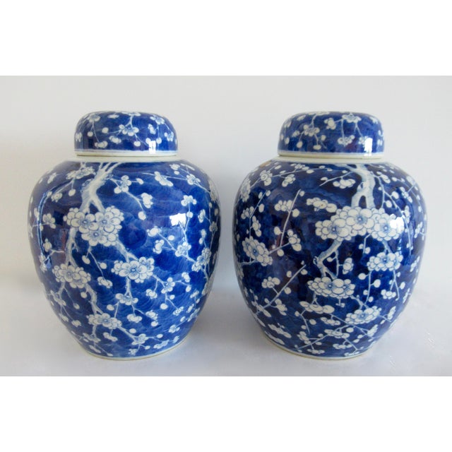 Vintage: C.1940's-50's, Blue & White Chinoiserie, Chinese Export Urns/Giner Jars. Prunus Flowers adorn the ginger jars...