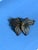 Vintage 1960s Filigree Butterfly Brooch Pin With Cannetille Style Openwork For Sale In New York - Image 6 of 16