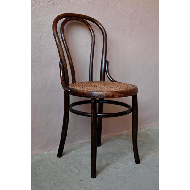 Boho Chic N°18 Chairs in Bentwood, Set of 2 For Sale - Image 3 of 14