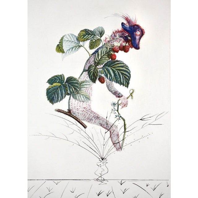 ARTIST: Salvador Dali TITLE: FlorDali/Les Fruits Raspberry MEDIUM: Etching SIGNED: Hand Signed PUBLISHER: Jean Schneider,...