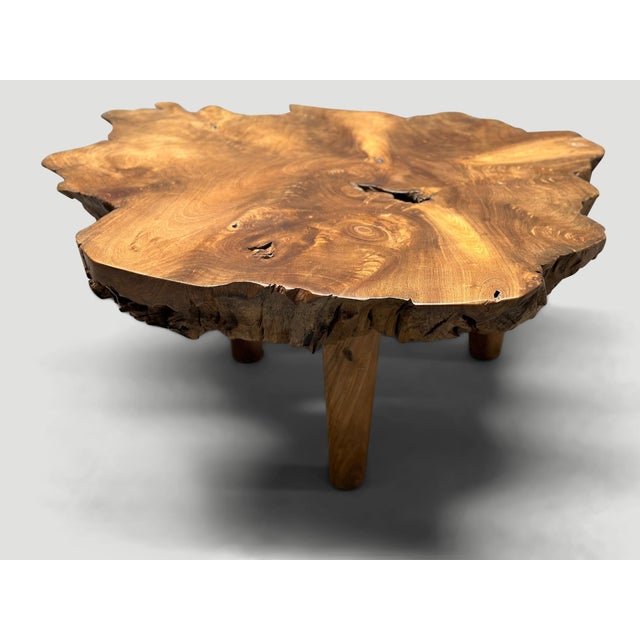 Andrianna Shamaris Mid Century Style Live Edge Coffee Table For Sale - Image 12 of 18