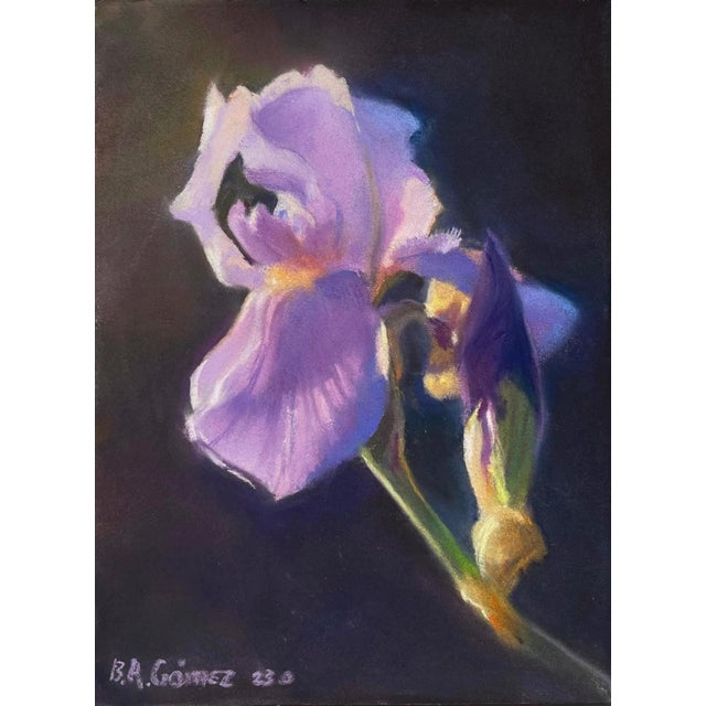 Vatican Iris Study by Bruce A Gómez | Pastel of a purple iris flower on a dark background For Sale