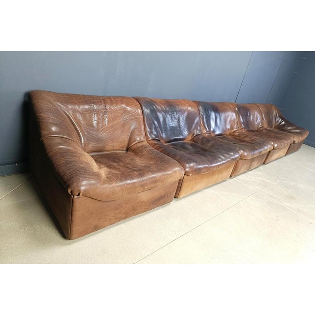 1970s Vintage Bufflao Leather DS46 Modular Sofa from de Sede, 1970s, Set of 5 For Sale - Image 5 of 9