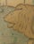 French Artist, Study of a Lion in a Palm Jungle, 1870, Colored Pencil on Paper For Sale - Image 4 of 17