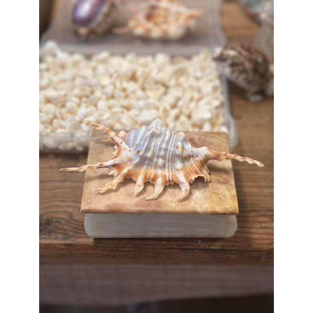 Vintage stone trinket box featuring a beautifully banded alabaster/onyx construction, topped with a striking natural spiny...