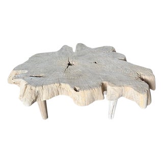 Andrianna Shamaris Amorphous Mid Century Style Bleached Coffee Table For Sale