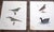 Authentic Antique 19th Century Bird Lithographs - Set of 12 For Sale - Image 4 of 8