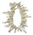 Vintage Natural African White Coral Trade Beads /Currency /Necklace 49 Pieces For Sale