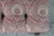 Antique English Regency Mahogany X Frame Paisley Tufted Ottoman Stool Bench For Sale - Image 9 of 18