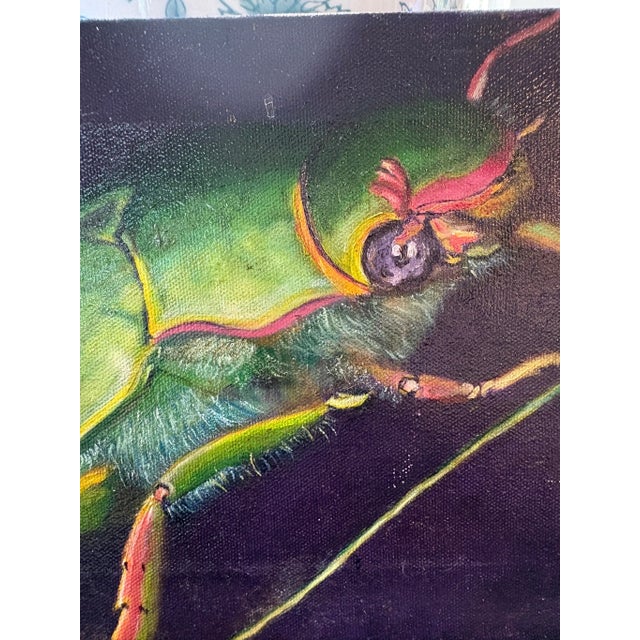 Vintage Oil Painting of Green Beetle on Canvas For Sale In Miami - Image 6 of 7