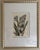 Early 21st Century Set of 3 Lauren Galleries Framed Hand-Embellished Botanical Floral Prints For Sale - Image 5 of 11